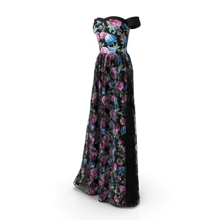 Noche evening gown