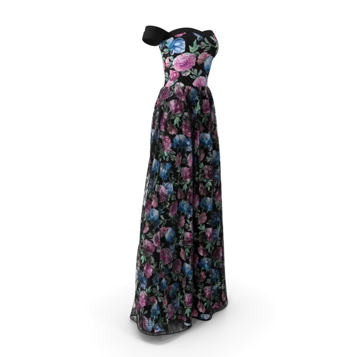 Noche evening gown