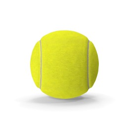 Tennis balls (can of 3)