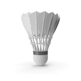 Feather shuttlecocks (6 pack)