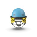 Cricket helmet