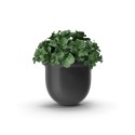 Terra ceramic plant pot