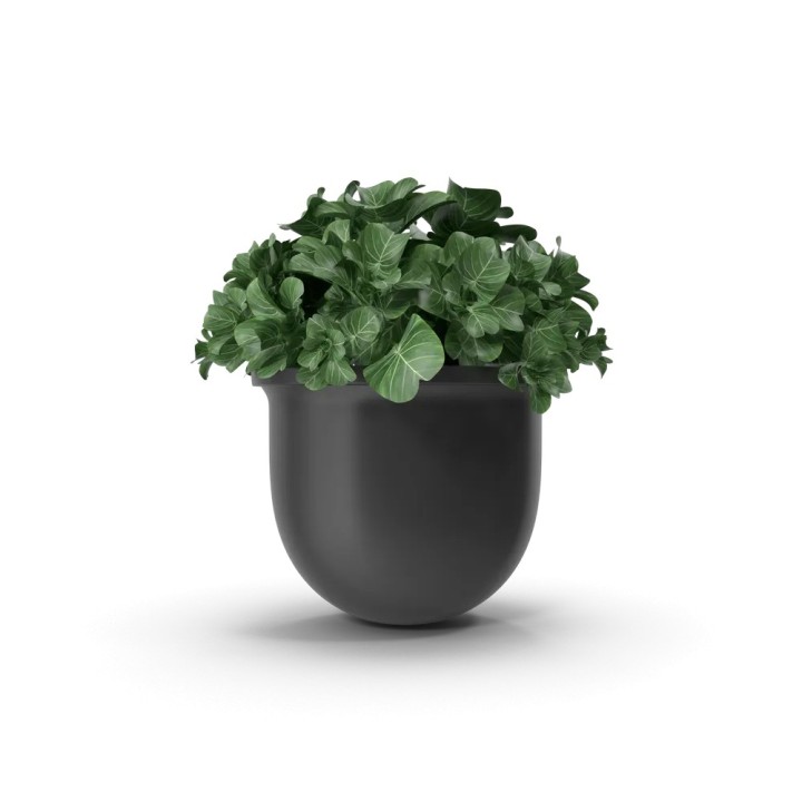 Terra ceramic plant pot