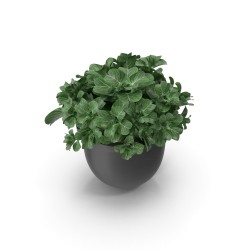 Maceta de cerámica Terra