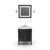Bathroom vanity with mirror
