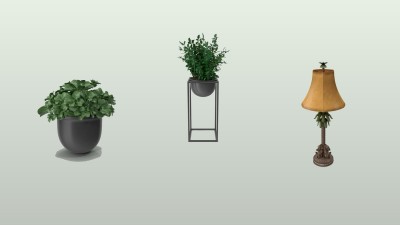 Piante da interno che si curano quasi da sole